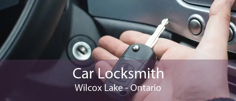 Car Locksmith Wilcox Lake - Ontario