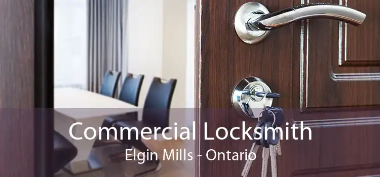 Commercial Locksmith Elgin Mills - Ontario