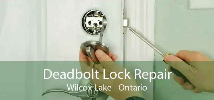Deadbolt Lock Repair Wilcox Lake - Ontario