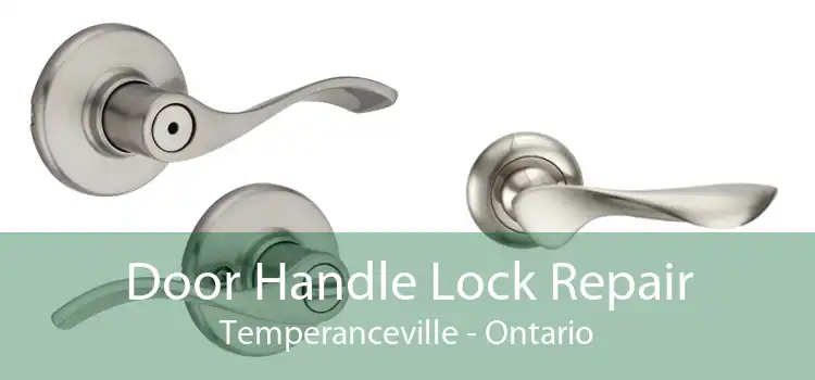 Door Handle Lock Repair Temperanceville - Ontario