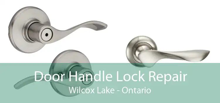 Door Handle Lock Repair Wilcox Lake - Ontario