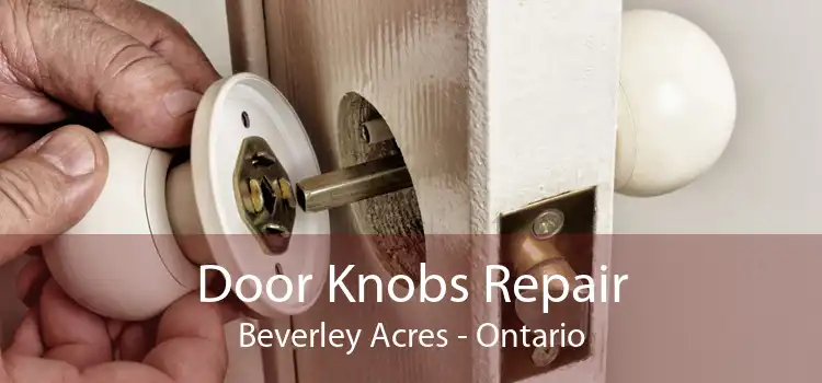 Door Knobs Repair Beverley Acres - Ontario
