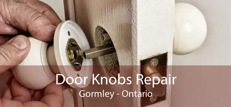 Door Knobs Repair Gormley - Ontario