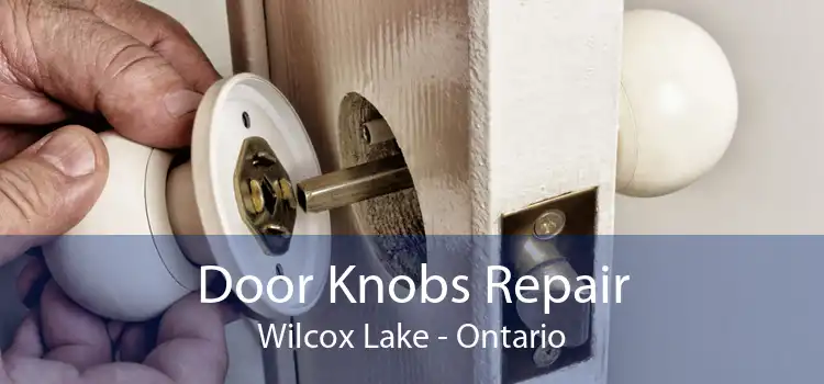 Door Knobs Repair Wilcox Lake - Ontario