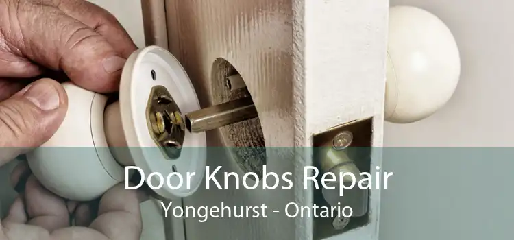 Door Knobs Repair Yongehurst - Ontario