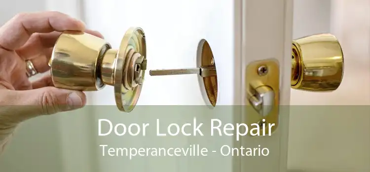 Door Lock Repair Temperanceville - Ontario