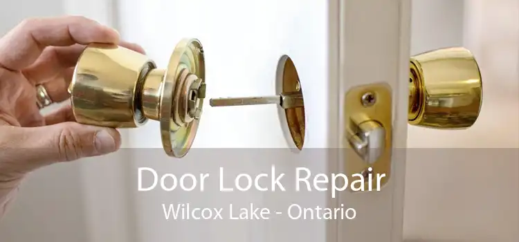 Door Lock Repair Wilcox Lake - Ontario
