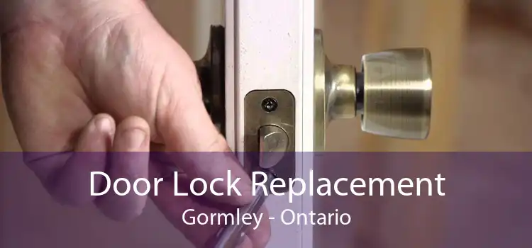 Door Lock Replacement Gormley - Ontario