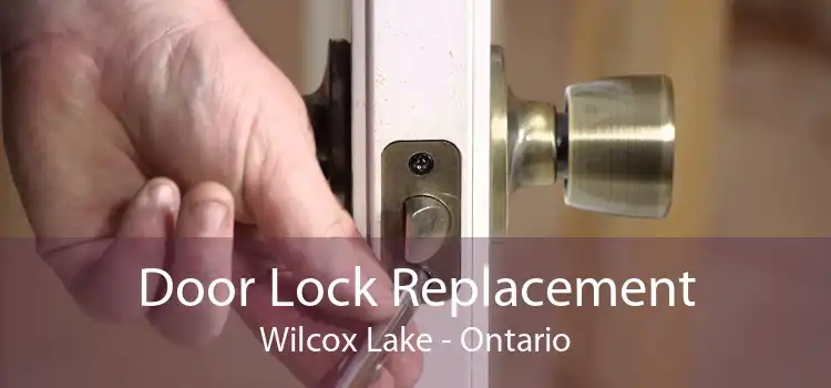Door Lock Replacement Wilcox Lake - Ontario