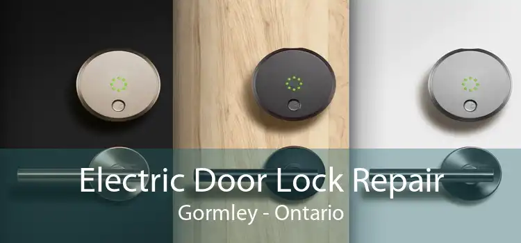 Electric Door Lock Repair Gormley - Ontario