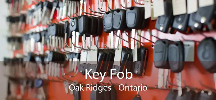 Key Fob Oak Ridges - Ontario