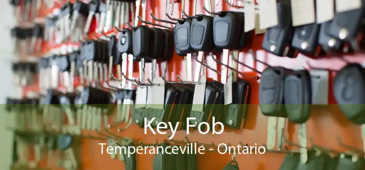 Key Fob Temperanceville - Ontario