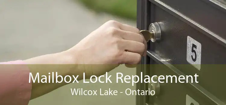 Mailbox Lock Replacement Wilcox Lake - Ontario