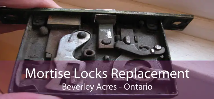 Mortise Locks Replacement Beverley Acres - Ontario