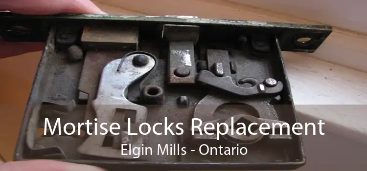 Mortise Locks Replacement Elgin Mills - Ontario