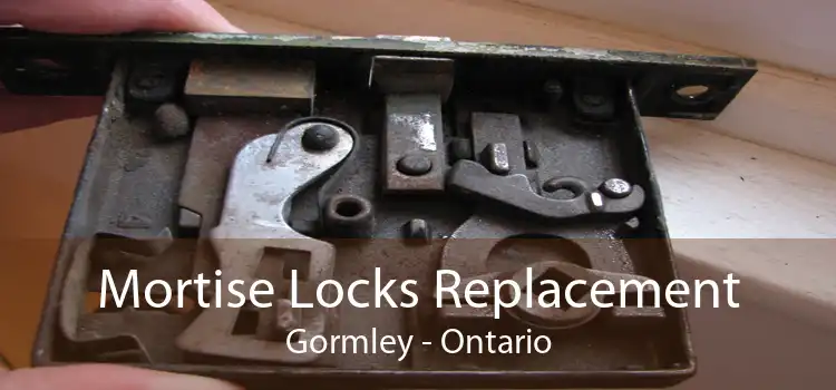 Mortise Locks Replacement Gormley - Ontario
