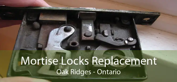 Mortise Locks Replacement Oak Ridges - Ontario