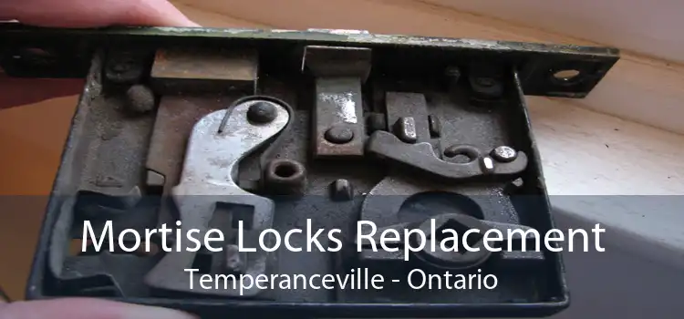 Mortise Locks Replacement Temperanceville - Ontario