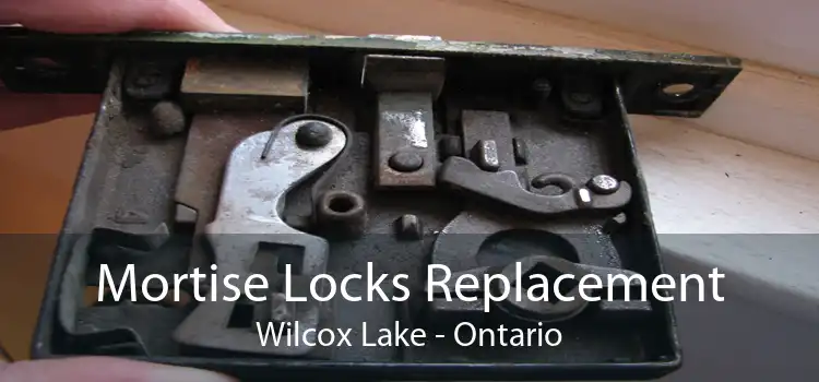 Mortise Locks Replacement Wilcox Lake - Ontario