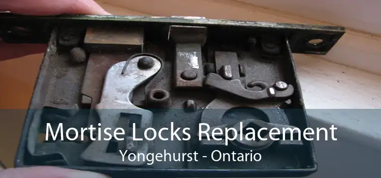 Mortise Locks Replacement Yongehurst - Ontario