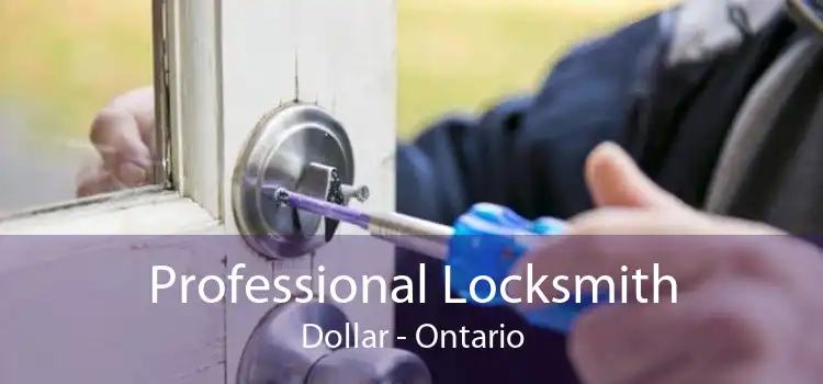 Professional Locksmith Dollar - Ontario