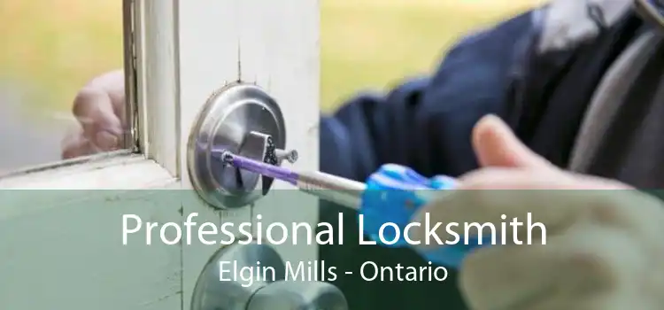 Professional Locksmith Elgin Mills - Ontario
