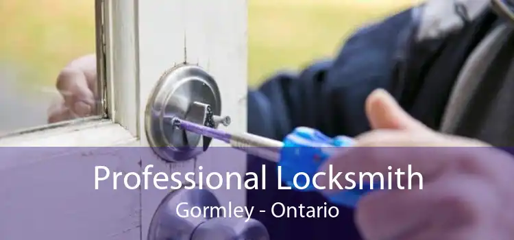 Professional Locksmith Gormley - Ontario