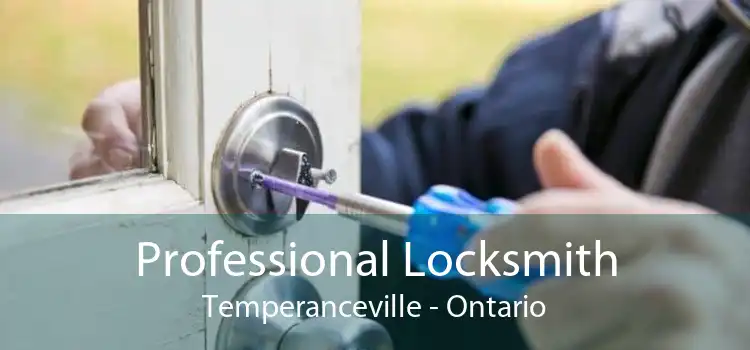 Professional Locksmith Temperanceville - Ontario