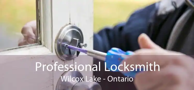 Professional Locksmith Wilcox Lake - Ontario