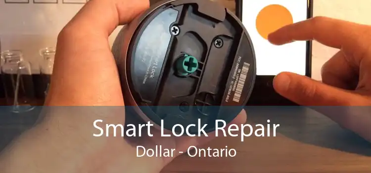 Smart Lock Repair Dollar - Ontario