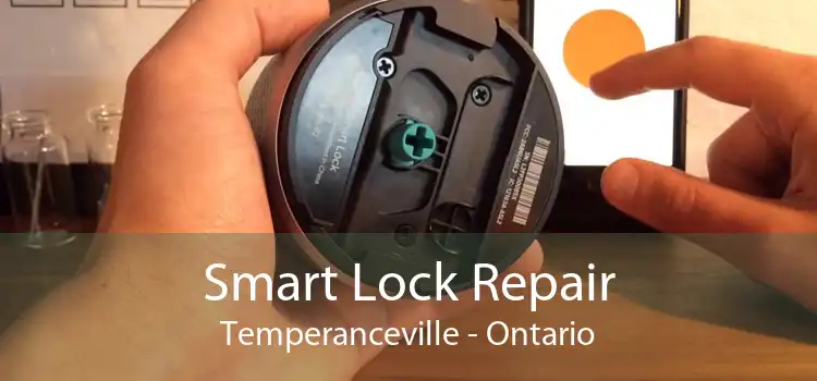 Smart Lock Repair Temperanceville - Ontario